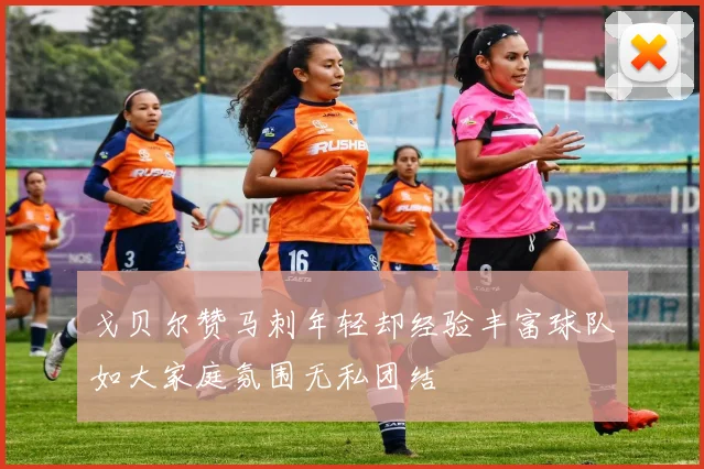 戈贝尔赞马刺年轻却经验丰富球队如大家庭氛围无私团结
