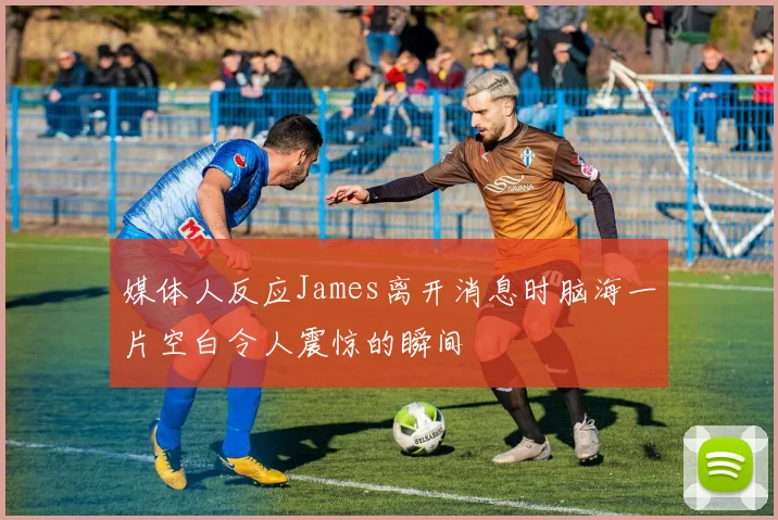 媒体人反应James离开消息时脑海一片空白令人震惊的瞬间