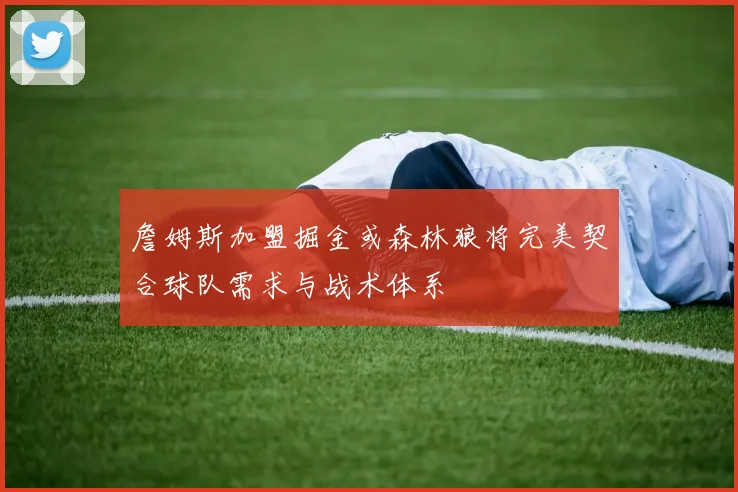 詹姆斯加盟掘金或森林狼将完美契合球队需求与战术体系